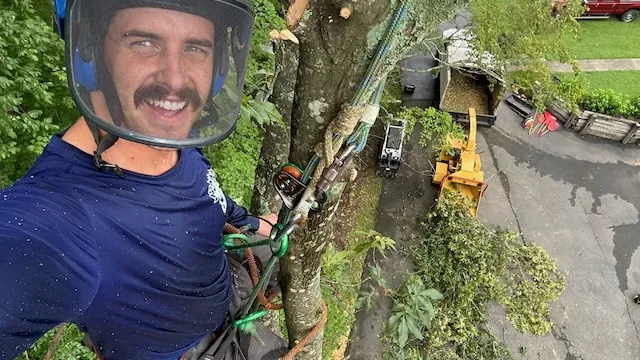 Gabe Thompson working from the canopy of a tree with equipment staged below